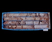 登錄號:C004344藏品圖，第3張