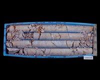 登錄號:C004345藏品圖，第2張