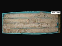 登錄號:C004346藏品圖，第1張