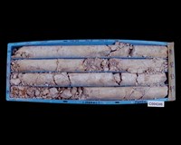 登錄號:C004346藏品圖，第2張