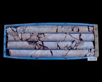 登錄號:C004348藏品圖，第2張