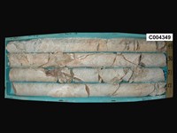 登錄號:C004349藏品圖，第1張