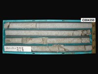 登錄號:C004350藏品圖，第1張