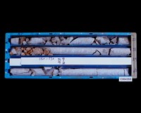 登錄號:C004350藏品圖，第2張