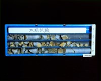 登錄號:C005141藏品圖，第2張