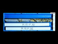 登錄號:C005142藏品圖，第1張