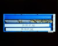 登錄號:C005142藏品圖，第2張