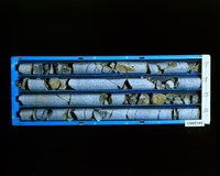 登錄號:C005145藏品圖，第2張