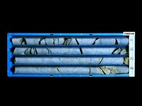 登錄號:C005146藏品圖，第3張