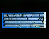 登錄號:C005146藏品圖，第1張