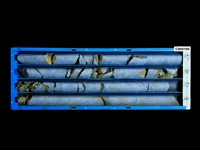 登錄號:C005150藏品圖，第1張