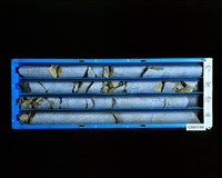 登錄號:C005150藏品圖，第2張