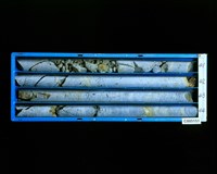 登錄號:C005151藏品圖，第2張