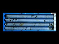 登錄號:C005153藏品圖，第1張