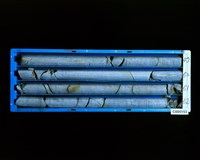 登錄號:C005153藏品圖，第2張