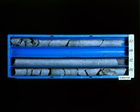 登錄號:C005154藏品圖，第2張