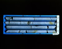 登錄號:C005155藏品圖，第2張