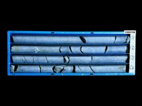 登錄號:C005156藏品圖，第1張