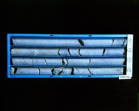 登錄號:C005156藏品圖，第2張