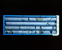 登錄號:C005157藏品圖，第2張