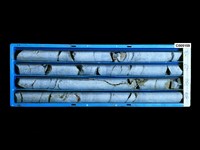 登錄號:C005159藏品圖，第1張