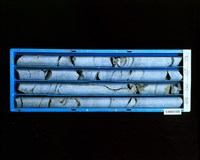 登錄號:C005159藏品圖，第2張