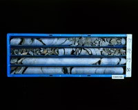 登錄號:C005160藏品圖，第2張