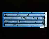 登錄號:C005163藏品圖，第2張