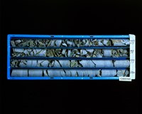 登錄號:C005165藏品圖，第2張