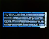 登錄號:C005166藏品圖，第2張