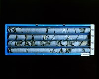 登錄號:C005167藏品圖，第2張