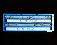 登錄號:C005168藏品圖，第2張