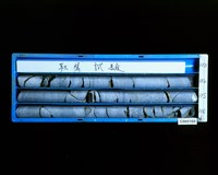 登錄號:C005169藏品圖，第2張