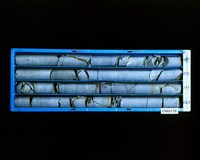 登錄號:C005170藏品圖，第2張