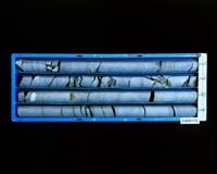 登錄號:C005172藏品圖，第2張