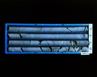 登錄號:C005173藏品圖，第2張