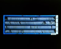 登錄號:C005174藏品圖，第2張