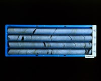 登錄號:C005175藏品圖，第2張