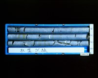 登錄號:C005176藏品圖，第2張