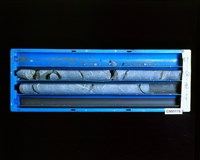 登錄號:C005178藏品圖，第2張