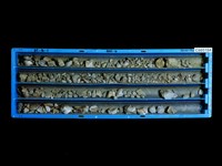 登錄號:C005184藏品圖，第1張