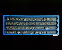 登錄號:C005184藏品圖，第2張