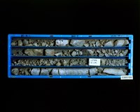 登錄號:C005185藏品圖，第2張