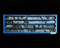 登錄號:C005187藏品圖，第2張