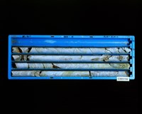 登錄號:C005192藏品圖，第2張