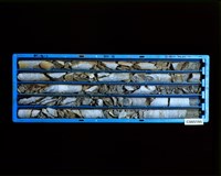 登錄號:C005195藏品圖，第2張