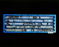 登錄號:C005196藏品圖，第2張