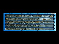 登錄號:C005198藏品圖，第1張