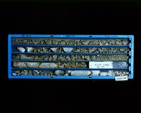 登錄號:C005199藏品圖，第2張