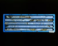 登錄號:C005201藏品圖，第2張